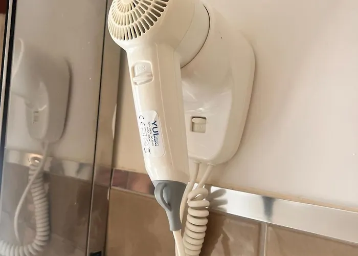 Le Di Rosa E Antonio